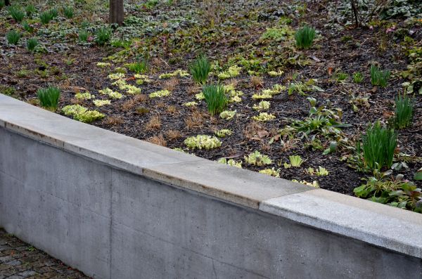 Cost of Concrete Wall Construction in Killeen