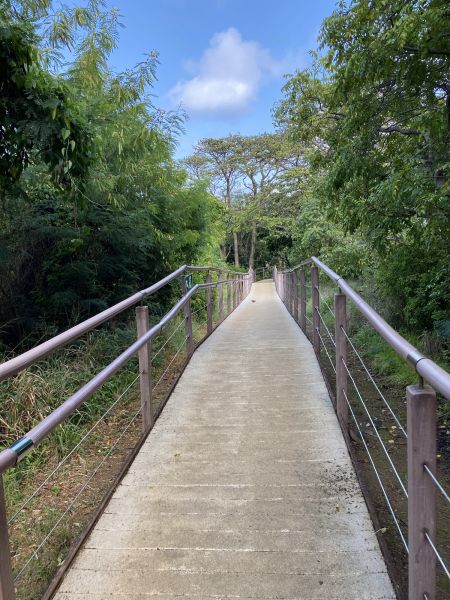 Footpath Construction in Killeen