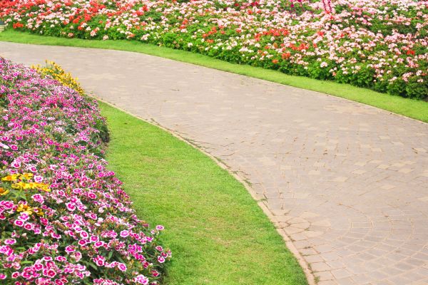 Concrete Walkway Service in Killeen